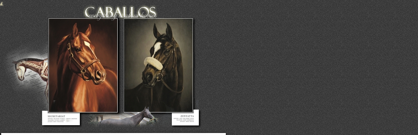 CABALLOS *horse website.
